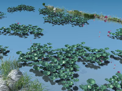 Lush Aquatic Plants Including Lotus And Lily Pads In Natural Water Garden 3d model