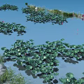 Lush Aquatic Plants Including Lotus And Lily Pads In Natural Water Garden