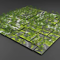 Japanese Dry Landscape Garden Design With Grid Layout Green Plants And White Paths
