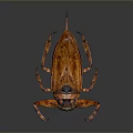 Aquatic Insect With Brown Body Distinct Wings Long Legs Shiny Appearance On Dark Gradient Background