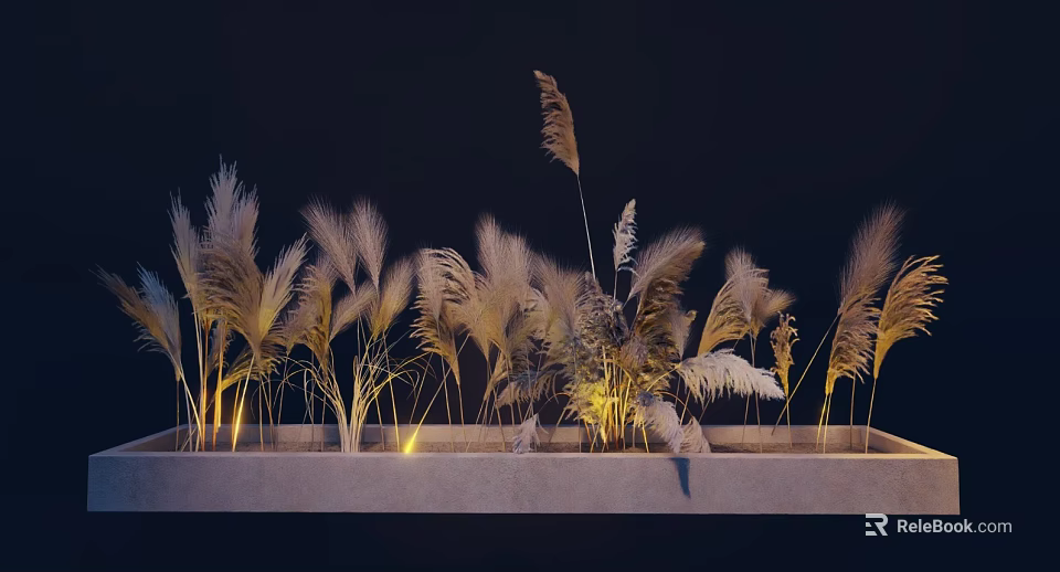 Pale Yellow Reedy Plants in Rectangular Concrete Planter with Underlighting Against Dark Background 3d model 