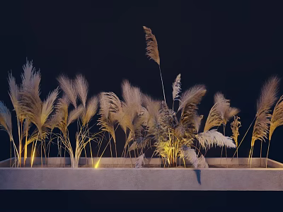 Pale Yellow Reedy Plants in Rectangular Concrete Planter with Underlighting Against Dark Background 3d model