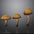 Three Orange Mushrooms with White Stems on Dark Background and Reflections