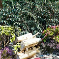 Lush Garden Landscape with Bamboo Plants Colorful Flowers Deer Statue and Stone Pebbles