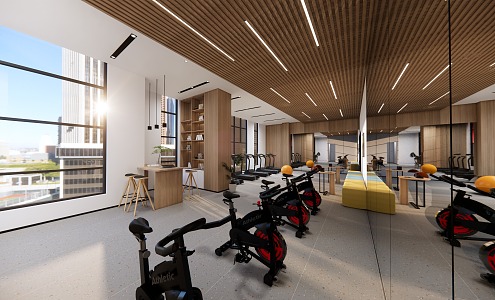 Modern Gym 3d model