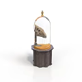 Decorative Wooden Display Stand with Glass Dome Enclosing Animal Skull and Ornate Base Design