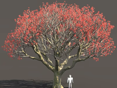 Large Tree With Vibrant Red Leaves Thick Branches And Human Figure Model 3d model