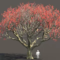 Large Tree With Vibrant Red Leaves Thick Branches And Human Figure Model 3d model