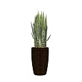 Potted Bonsai Plant with Long Green Leaves in Brown Textured Pot for Indoor Decor