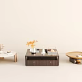 Modern Coffee Tables With Various Designs Wooden Frames And Decorative Items 3d model