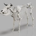 modern skeleton cow skeleton 3d model