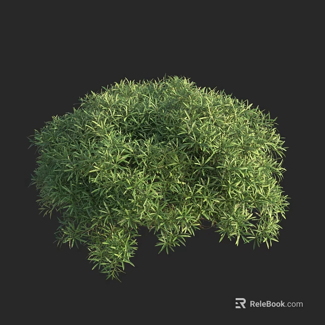 Green Lush Bush With Small Leaves In Rounded Shape On Black Background 3d model