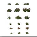 Beautiful Vibrant Flower Bushes With Pink Flowers And Green Leaves