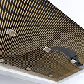 Black And Gold Striped Ceiling Design With Recessed Lights And Vent