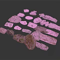 Collection of Various Wood and Stone Samples Featuring Natural Textures and Shapes
