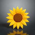 Bright Yellow Sunflower With Brown Center Yellow Petals And Reflection On Grey Background