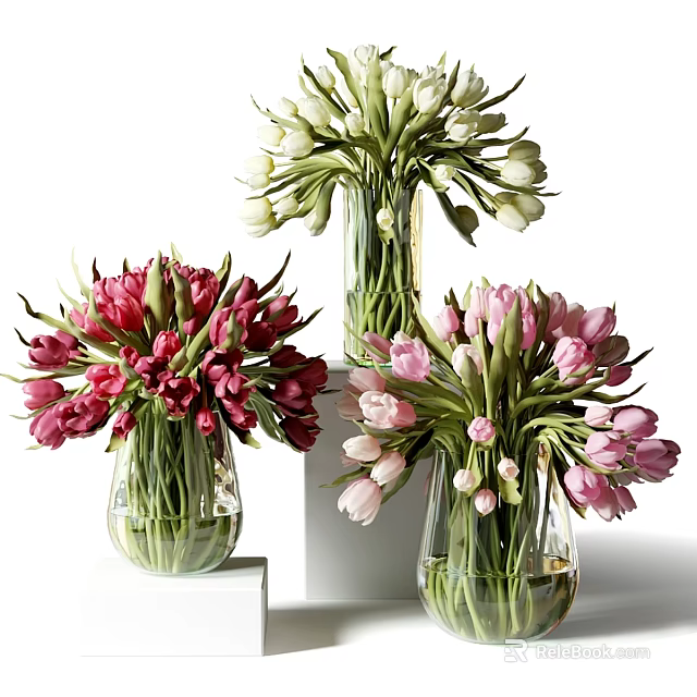 Colorful Tulip Flowers in Transparent Glass Vases with Red White Pink Colors on White Platforms 3d model 