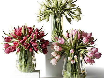 Colorful Tulip Flowers in Transparent Glass Vases with Red White Pink Colors on White Platforms 3d model