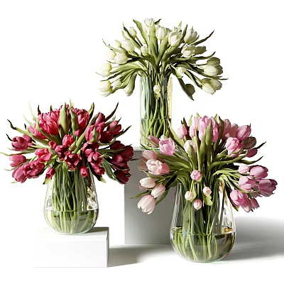 Colorful Tulip Flowers in Transparent Glass Vases with Red White Pink Colors on White Platforms 3d model
