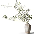 Textured Gray Vase Adorned With Olive Branches Green Leaves And Slender Twigs