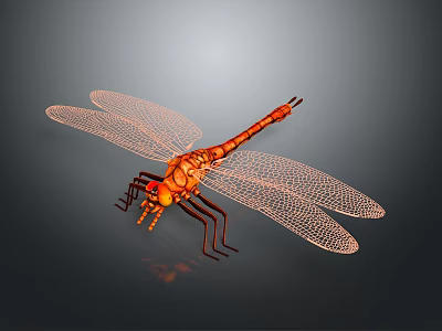Orange Dragonfly With Detailed Mesh Wings And Transparent Structure On Dark Background 3d model
