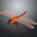 Orange Dragonfly With Detailed Mesh Wings And Transparent Structure On Dark Background