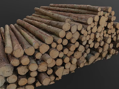 Natural Wood Logs Stacked Pile of Cut Tree Trunks in Rustic Forest 3d model