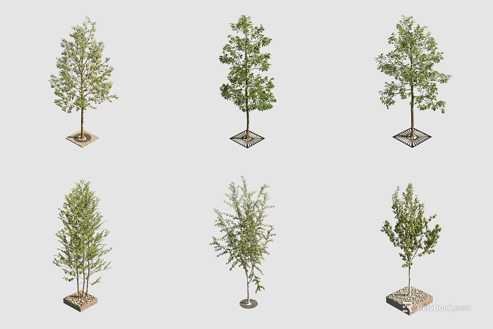 Different Arbor Trees with Single Double Trunks Lush Foliage and Square Round Bases 3d model 