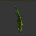 Green Long Bodied Aquatic Reptile With Yellow Stripes On Gray Background