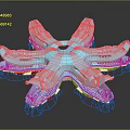Blue Multi Armed Cosmic Structure For Space Exploration And Astronautics Research
