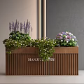 Colorful Flowers with Purple Pink Blooms and Green Foliage in Wooden Planter Box with MANTELLASSIN