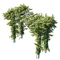 Green Vine Covered Garden Pergola With Arch Structure And Lush Foliage