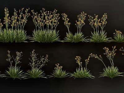 Green Herbaceous Plants With Yellow Small Flowers Arranged On Black Background 3d model