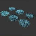 Multiple Green Plant Clumps With Various Dark And Light Green Shades