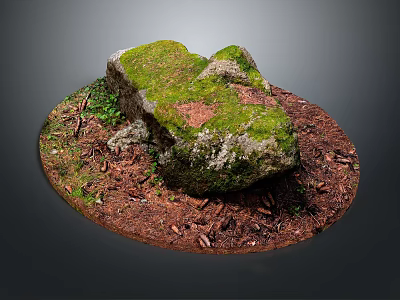 Natural Stone With Green Moss And Wood Chips On Brown Soil Surface 3d model