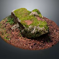 Natural Stone With Green Moss And Wood Chips On Brown Soil Surface