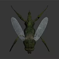 3D Rendered Green Insect With Transparent Wings Sharp Fangs And Red Eyes