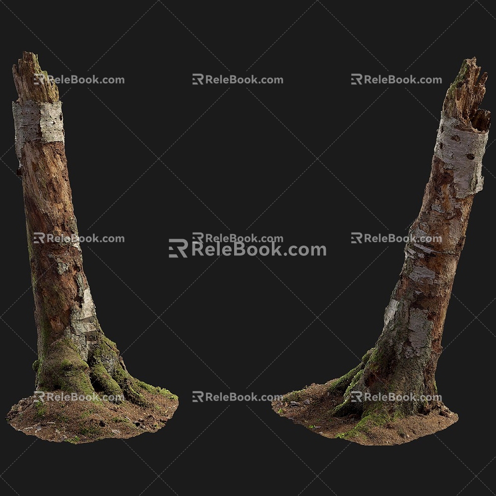 tree root moss bark trunk 3d model