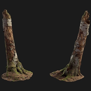 tree root moss bark trunk 3d model