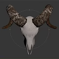 White Ram Skull Decorative Ornament Set With Textured Brown Horns For Home Decor