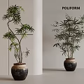 Bonsai Plants with Lush Green Foliage in Dark Textured Ceramic Pots for Modern Indoor Decor