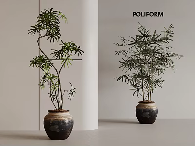 Bonsai Plants with Lush Green Foliage in Dark Textured Ceramic Pots for Modern Indoor Decor 3d model
