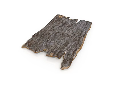 Dried Plant Bark With Natural Dark Texture And Rough Surface 3d model