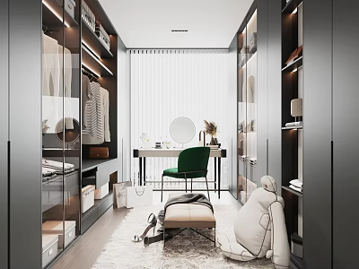 Modern Walk-in Closet Interior Design With Glass Cabinets Mirror Green Chair And Storage Rug 3d model