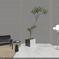 Bonsai Plant in Modern Interior with Checkered Chair Side Table and Floor Lamp