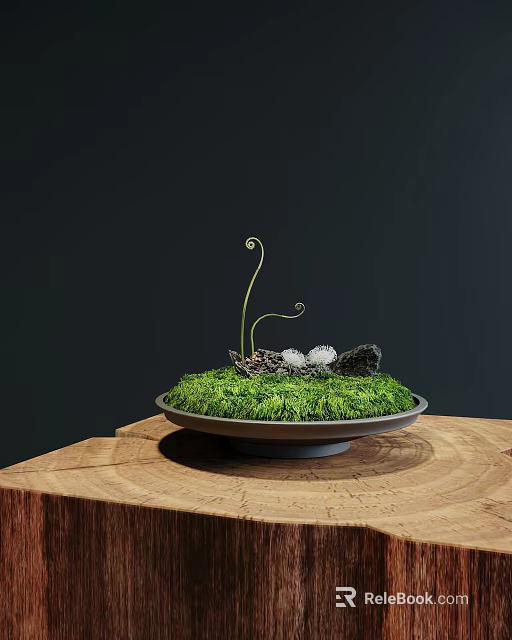 Lush Green Moss Display on Wooden Base with Stones and Curled Stems 3d model 