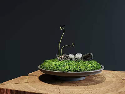 Lush Green Moss Display on Wooden Base with Stones and Curled Stems 3d model