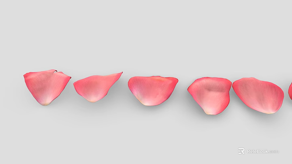 Five Pink Rose Petals Arranged in a Row on Light Gray Background 3d model 