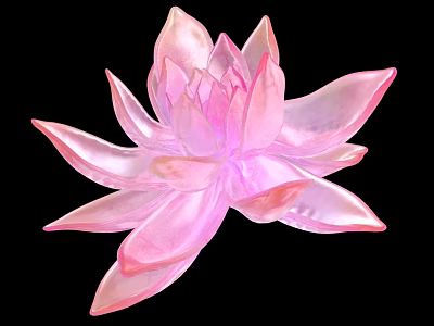 Beautiful Pink Lotus Flower With Transparent Petals On Black Background 3d model