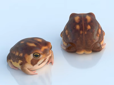 Two Brown Reptiles With Yellow Spots Showing Front And Back Views On Light Blue Background 3d model